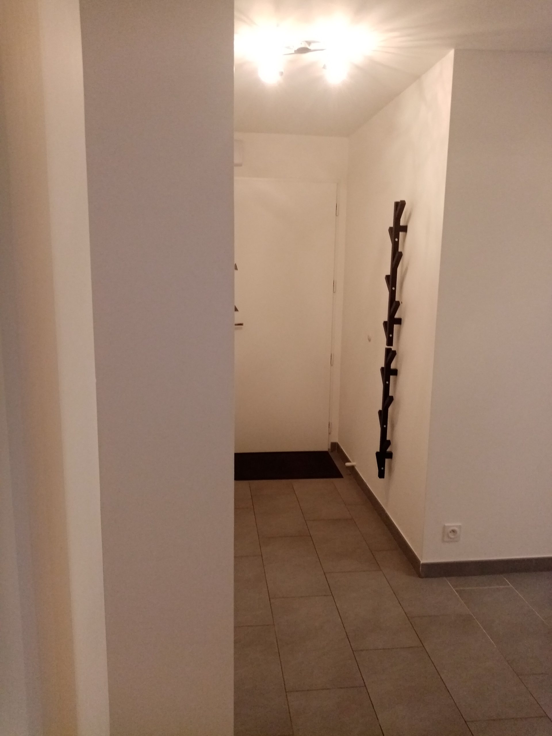 Entrée d'appartement — porte, sol, patère murale, sans trace